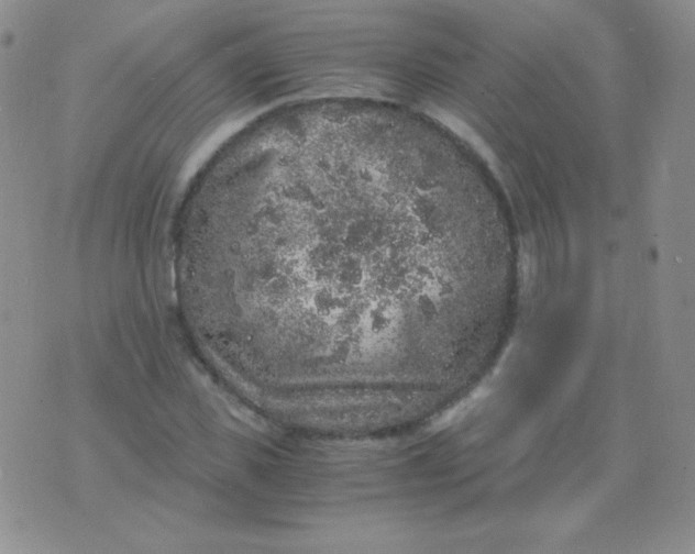 X0000076270925200610122251