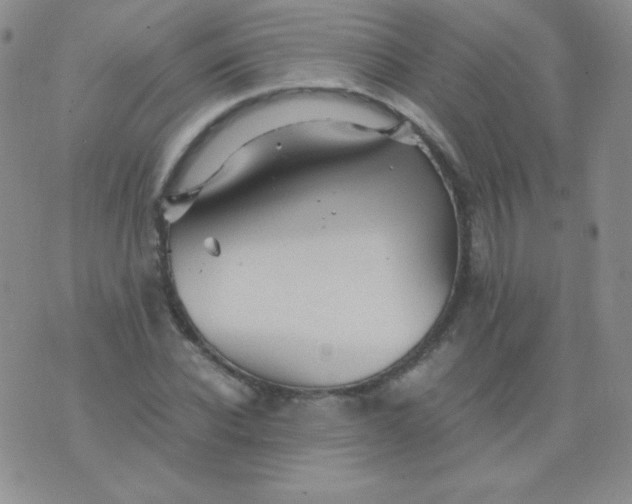 X0000076270926200610122251