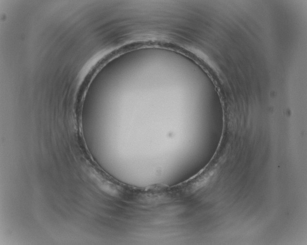 X0000076270927200610122251