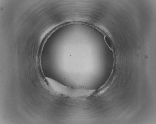 X0000076270928200610122251