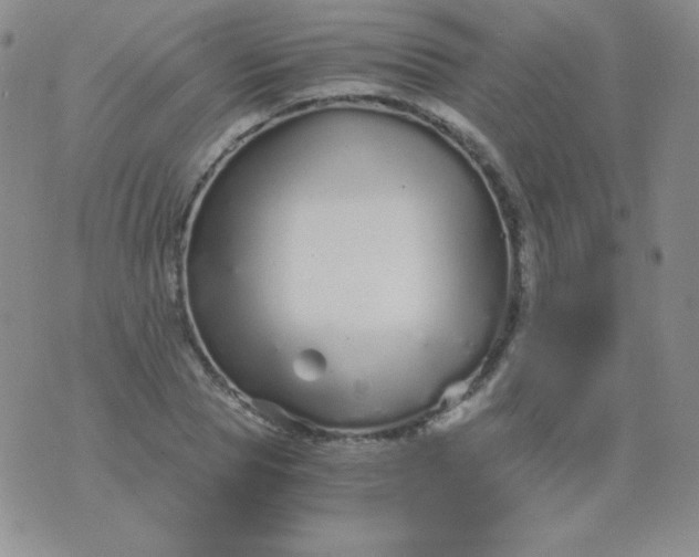 X0000076270929200610122251