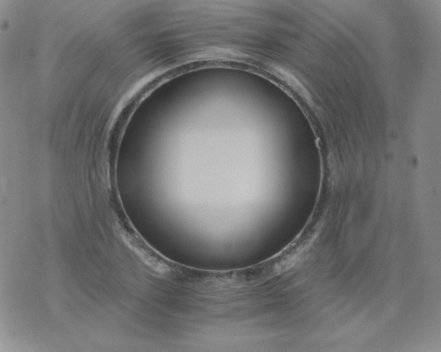 X0000076270931200610122251