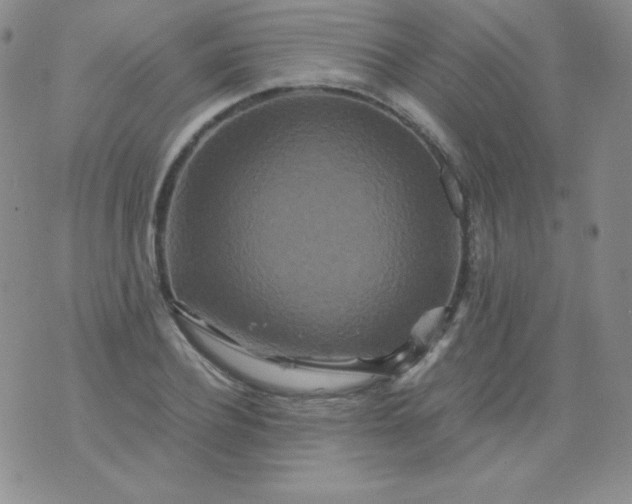 X0000076270932200610122251