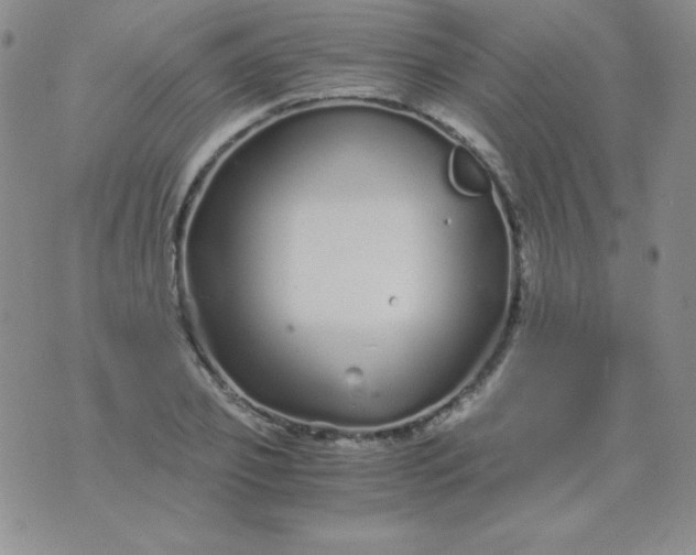 X0000076270933200610122251