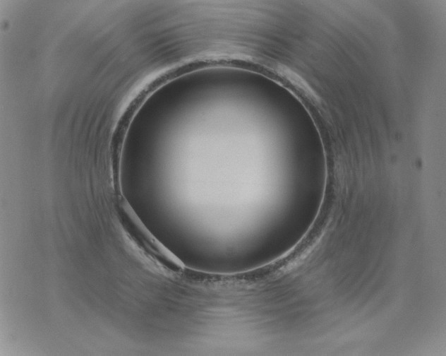 X0000076270934200610122251