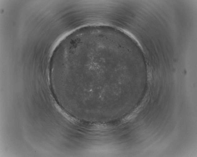 X0000076270935200610122251