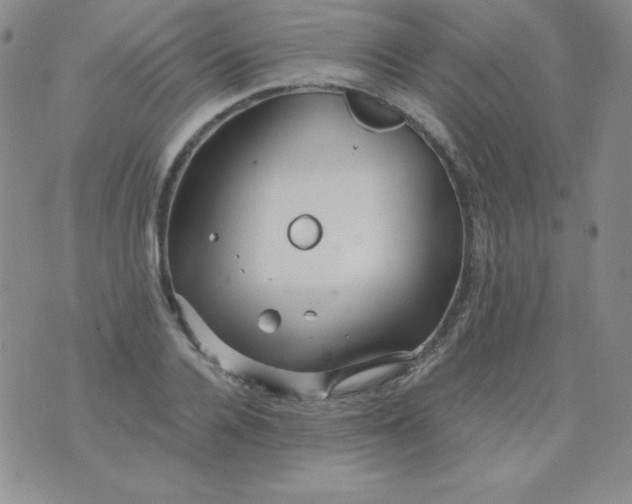 X0000076270936200610122251