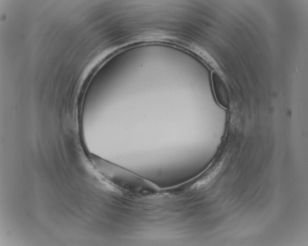 X0000076270939200610122251