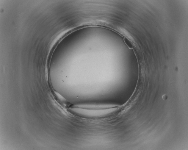 X0000076270940200610122251