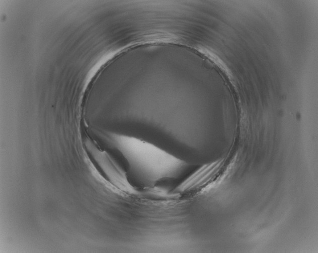 X0000076270941200610122251