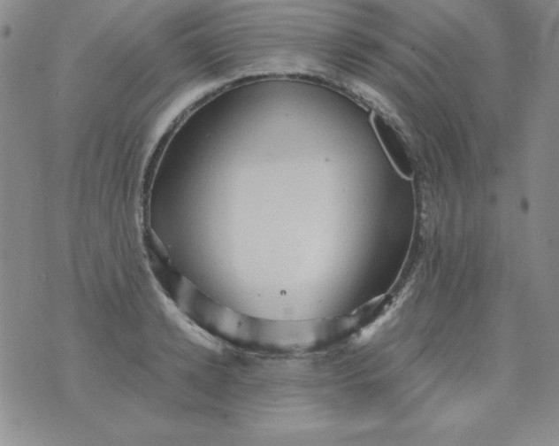 X0000076270942200610122252