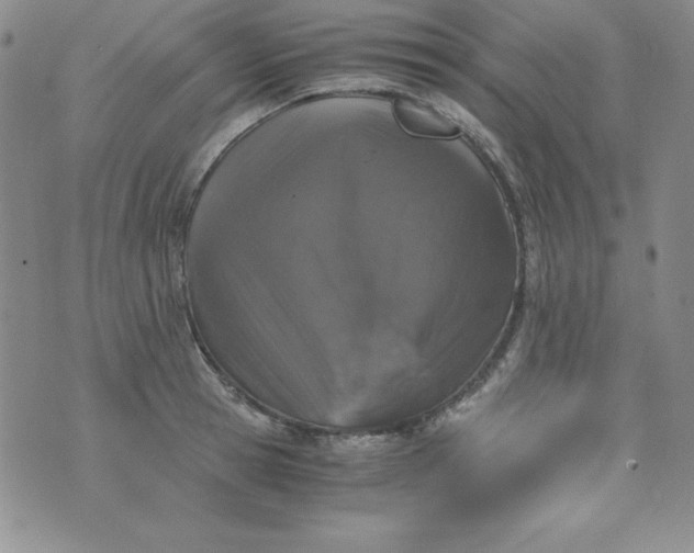 X0000076270945200610122252