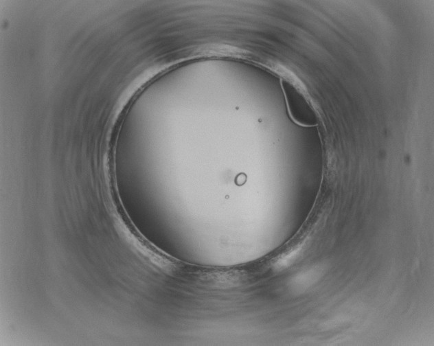 X0000076270947200610122252