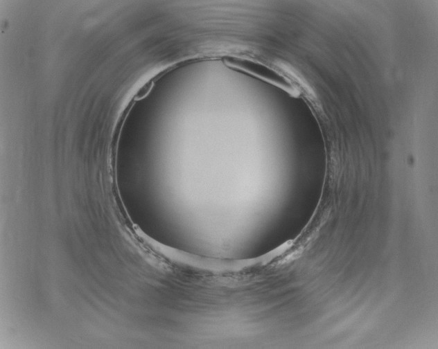 X0000076270948200610122252