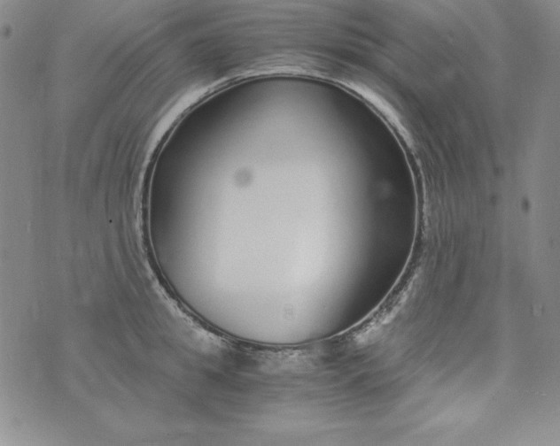 X0000076270949200610122252