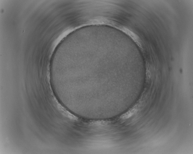 X0000076270950200610122252