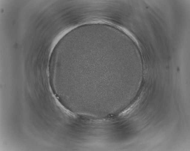 X0000076270951200610122252