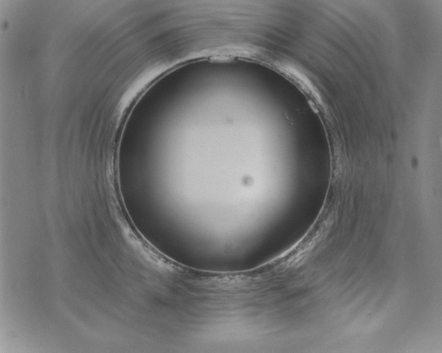 X0000076270952200610122252