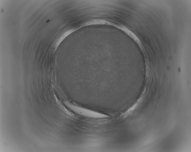 X0000076270953200610122252