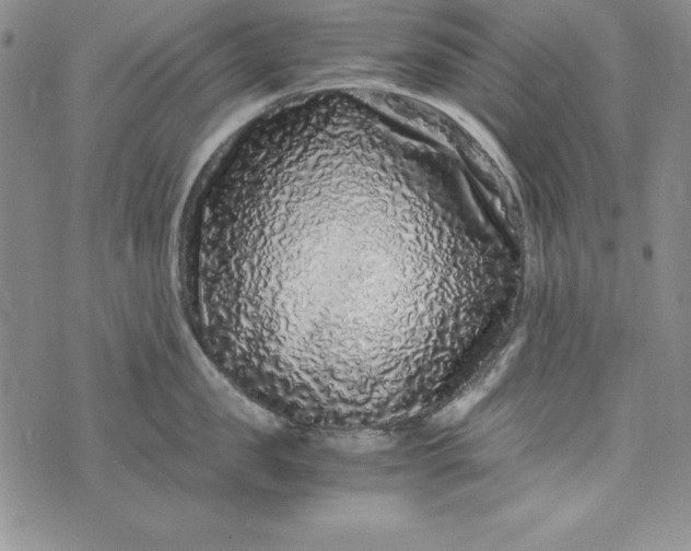 X0000076270957200610122252