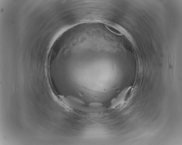 X0000076270958200610122252