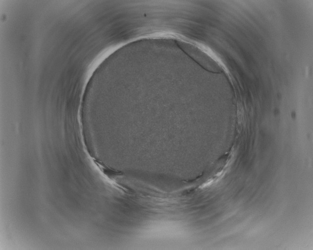 X0000076270959200610122252