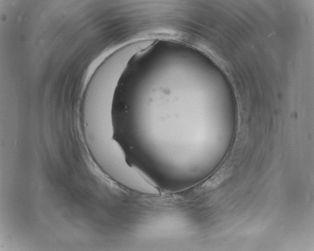 X0000076270960200610122252