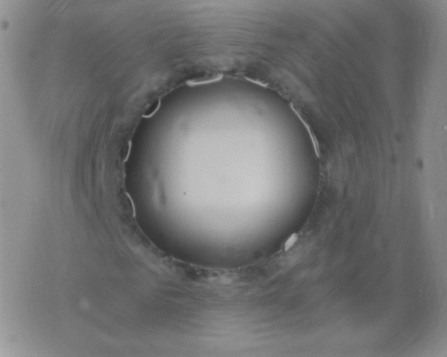 X0000076270961200610122251