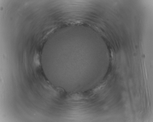 X0000076270962200610122251