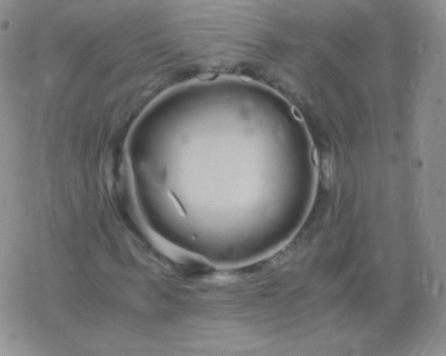 X0000076270963200610122251