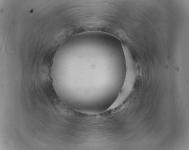 X0000076270964200610122251