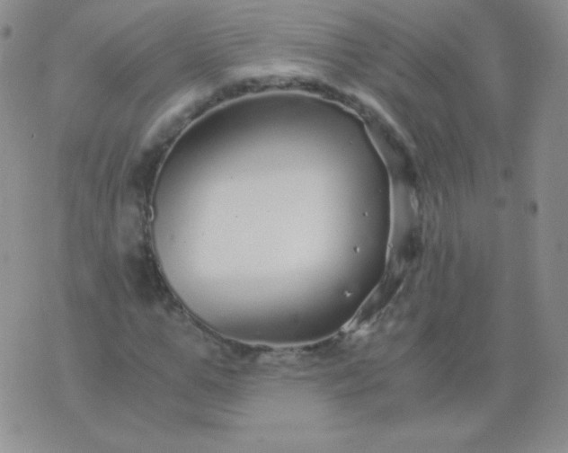 X0000076270967200610122251