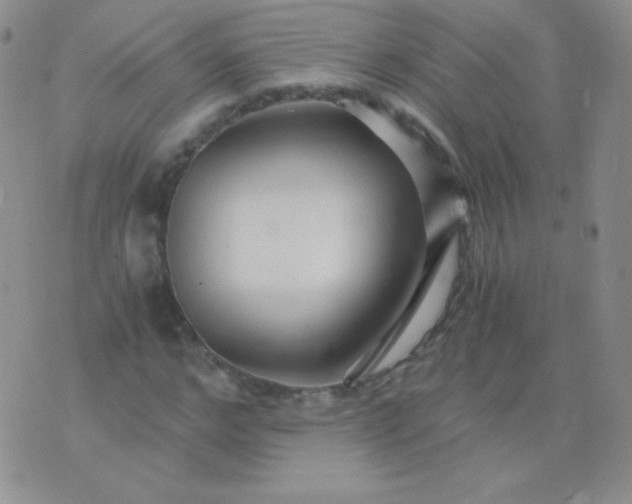 X0000076270968200610122251