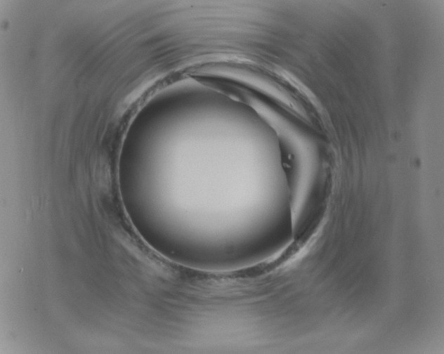 X0000076270969200610122251