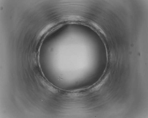 X0000076270970200610122251