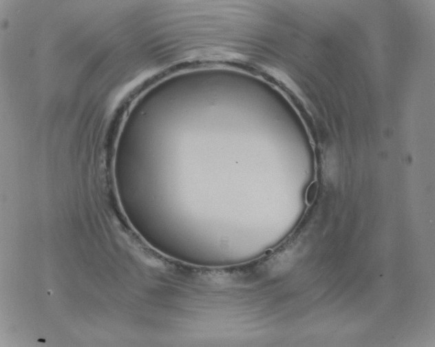 X0000076270971200610122251