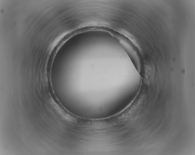 X0000076270972200610122251