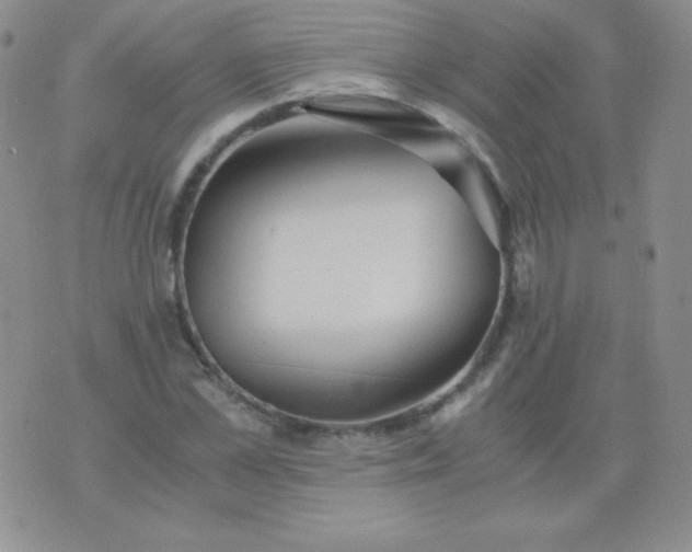 X0000076270973200610122251