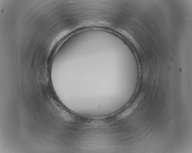 X0000076270974200610122251