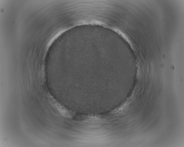 X0000076270975200610122251