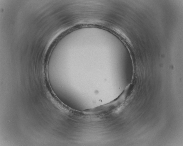 X0000076270976200610122251