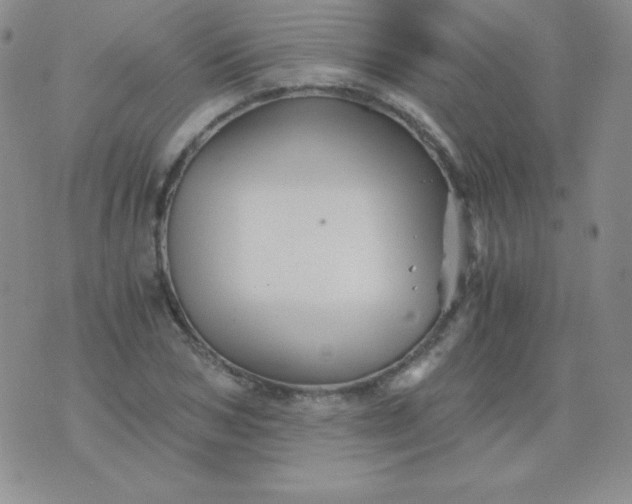 X0000076270978200610122251