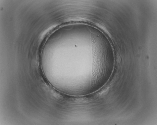 X0000076270979200610122251