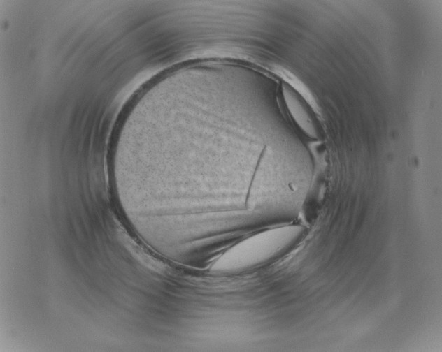 X0000076270980200610122251