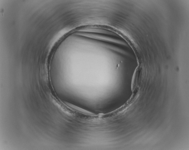 X0000076270982200610122251