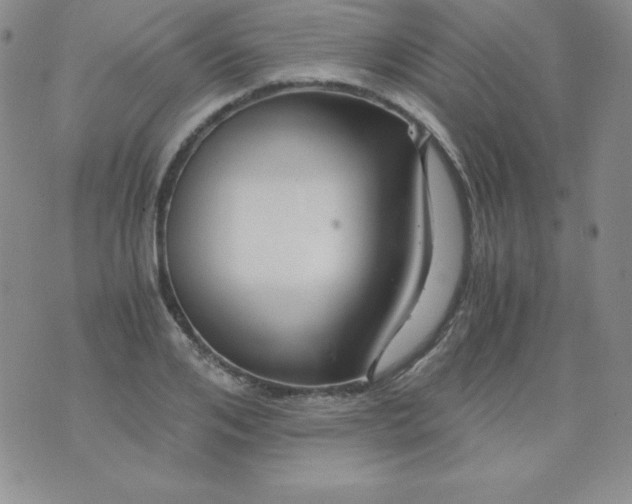 X0000076270984200610122251