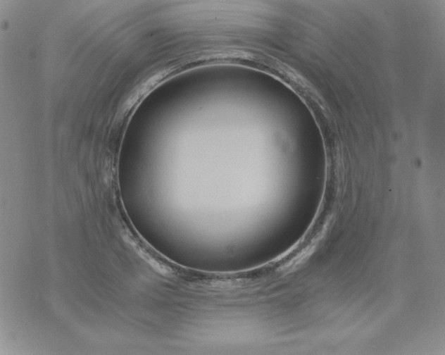 X0000076270985200610122251