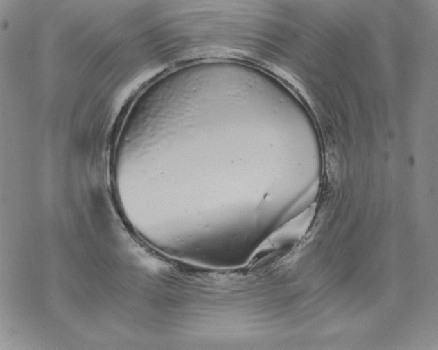 X0000076270987200610122251