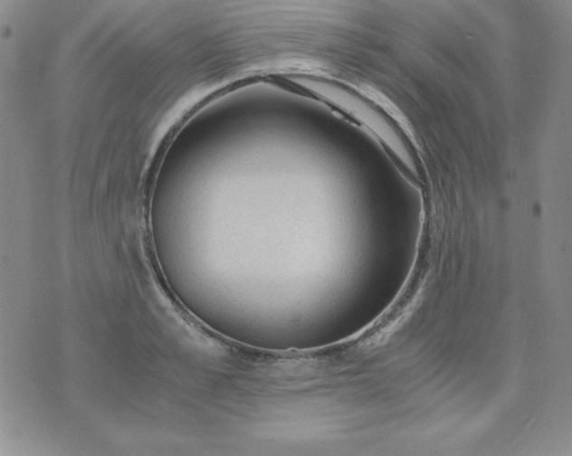 X0000076270989200610122251