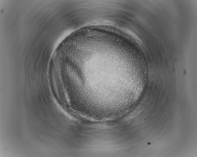 X0000076270990200610122251